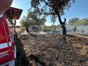 Cause Of Fire In Valley Springs Determined Cause Of Fire In Valley Springs Determined