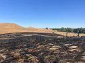 Cause Of Robie Fire Determined