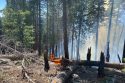 Direct Fire Tactics Being Used On Forest Sheering Fire