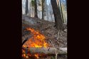 Sheering Fire Gains Containment And Acreage