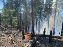 Steering Fire In Stanislaus National Forest Holding At 370 Acres