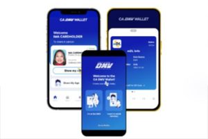 DMV digital ID