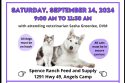 Keeping Your Pet Safe From Deadly Rabies