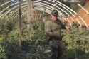 Eight Properties In Mariposa Raided For Being Illegal Pot Grows Eight Properties In Mariposa Raided For Being Illegal Pot Grows