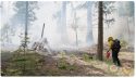 Town Hall Planned Ahead Of Burning At Calaveras Big Trees