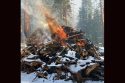 Pile Burning Underway Across All Stanislaus Districts