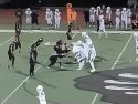 Bears Run Over Gustine
