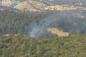 Fire Near Groveland