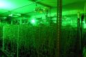 Suspicious Vehicle Report Uncovers Burglary And Illegal Pot Grow