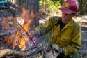 Wrapping Up Pile Burning On Thousands Of Forest Acres