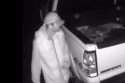 Public’s Help Needed To Catch Vehicle Thief