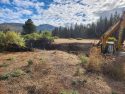 Yosemite Updates Ackerson Meadow Restoration Project