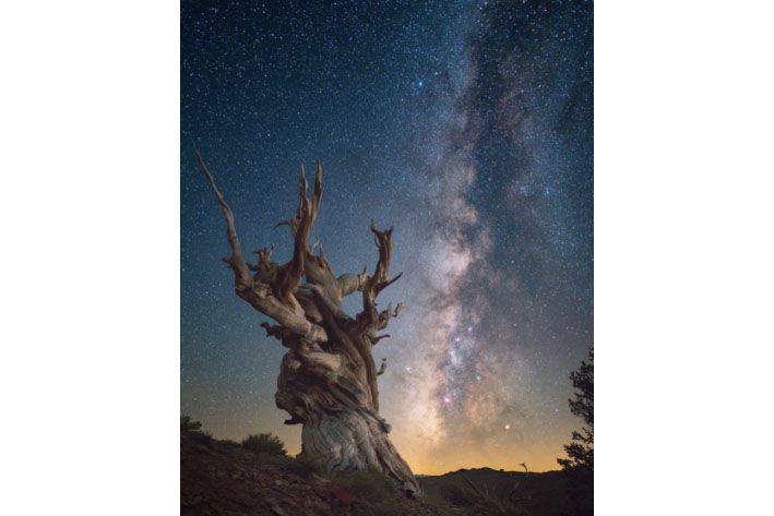 Have “Wild Wonders” Photos?