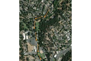 Vegetation work on Bonanza Way in Sonora -- NorCAL Tree map