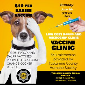 TCAC rabies and microchip clinic flyer