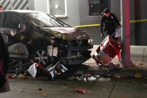 Los Angeles Vehicle into Crowd