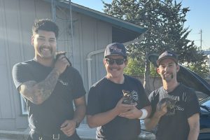 Kittens found in engine of car and rescued by CAL FIRE TCU-Copperopolis Station firefighters—CAL Fire TCU photo