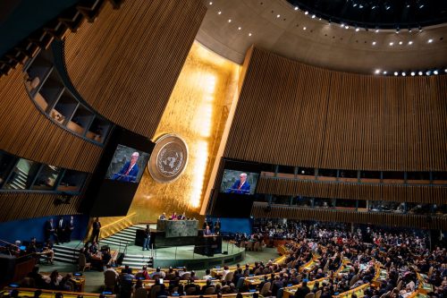 UN General Assembly