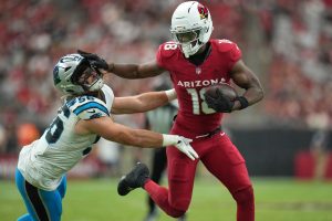 APTOPIX Panthers Cardinals Football
