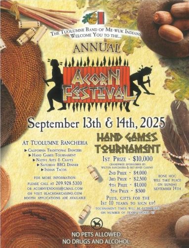 Acorn Festival Poster