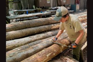 Santa Rosa Scout Troop 135 member working on the Ceremonial Round House In Yosemite National Park—Park photo