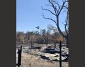 TCU September Lightning Complex Damage In Chinese Camp