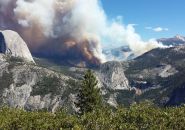 Meadow Fire in Yosemite