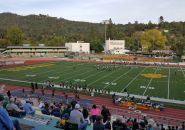 Wildcats take on Bears