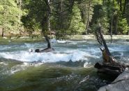 Mercded River in Yosemite, CA