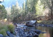 Yosemite National Park