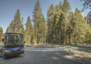 NPS Photo by Al Golub YARTS bus tests travels on roundabout in Yosemite