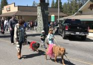 2018 Twain Harte Dog Parade