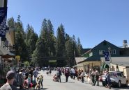 2018 Twain Harte Dog Parade