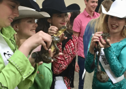 2018 Calaveras County Fair