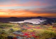 Courtesy: RCRC RCRC 2018 Rural County Photo Contest winning picture “Sunset Over New Melones Reservoir with Springtime Flowers on Table Mountain” by Peggy Sells