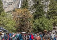 Courtesy: Yosemite National Park Yosemite celebrates Earth Day along with other events