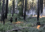 Forest Service Image Rosasco Fire In Stanislaus National Forest