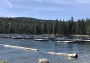 Photo by: BJ Hansen Pinecrest Lake