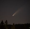Photo by Jim Cruff Comet NEOWISE above Sonora July 15 2020